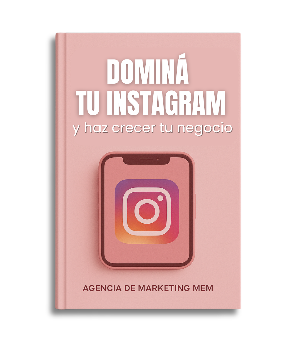 De emprendedor a referente: dominá Instagram con estrategia.