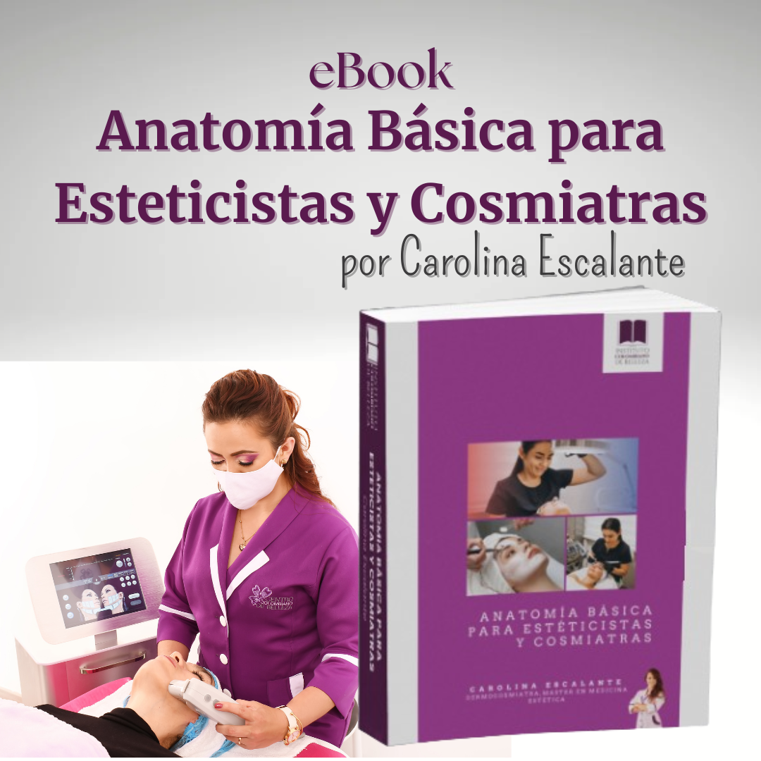 Anatomía Básica para Esteticistas y Cosmiatras
