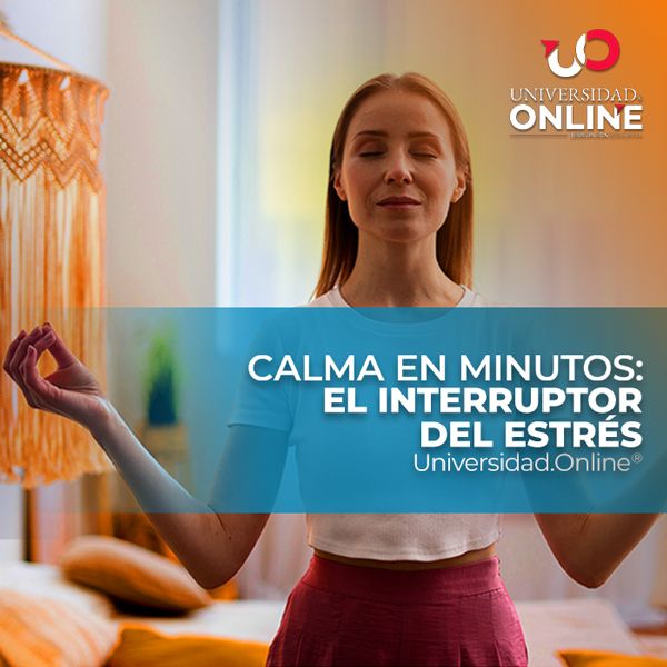 Calma en minutos: El interruptor del estrés
