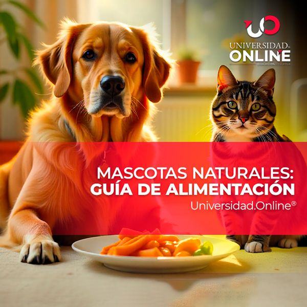 Mascotas Naturales: Guía de Alimentación