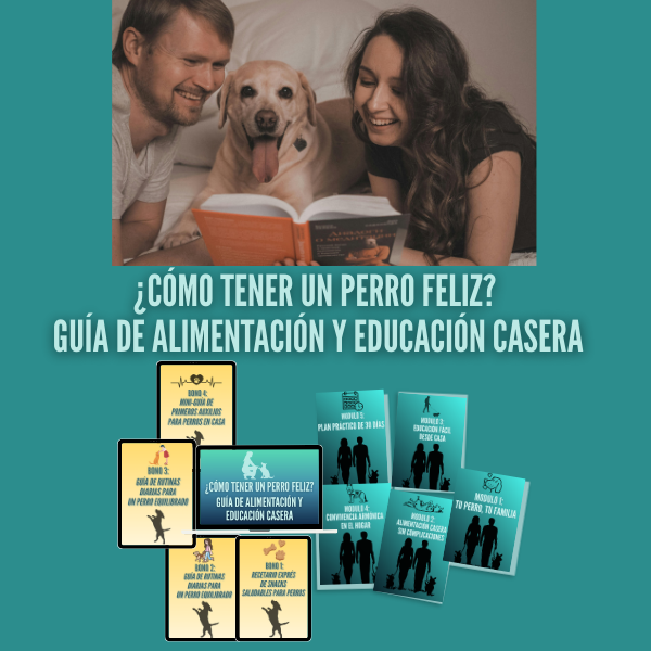 ¿Cómo tener un perro feliz? Guía de Alimentación y Educación Casera