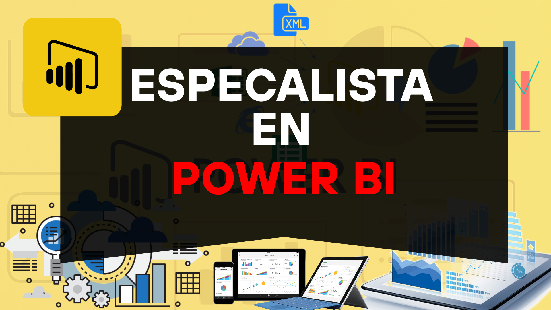 Especialista en POWER BI