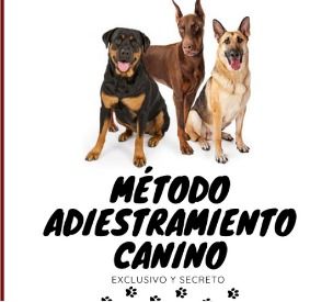 Método Adiestramiento Canino 2.0