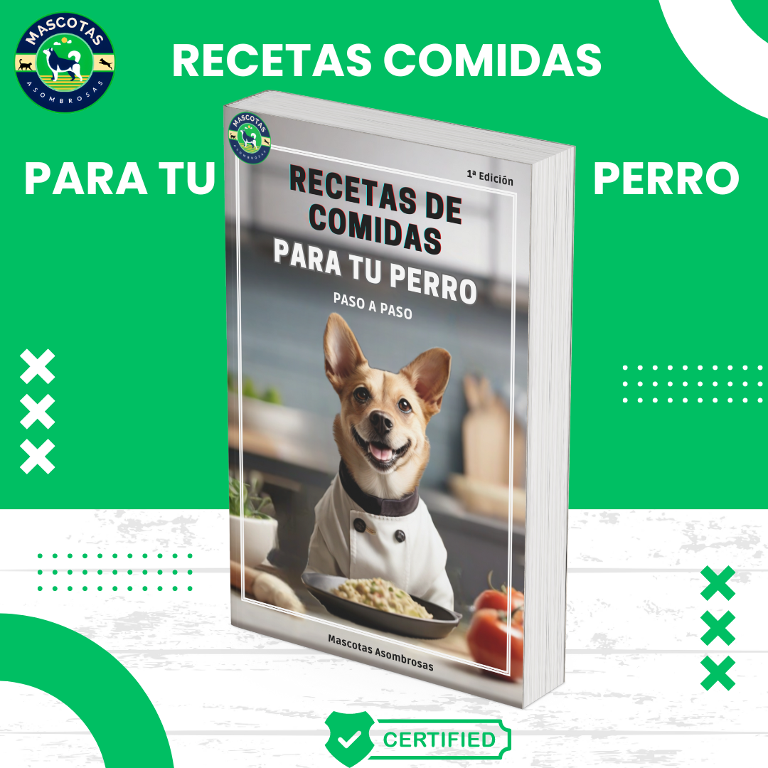 Recetas de Comidas para tu Perro