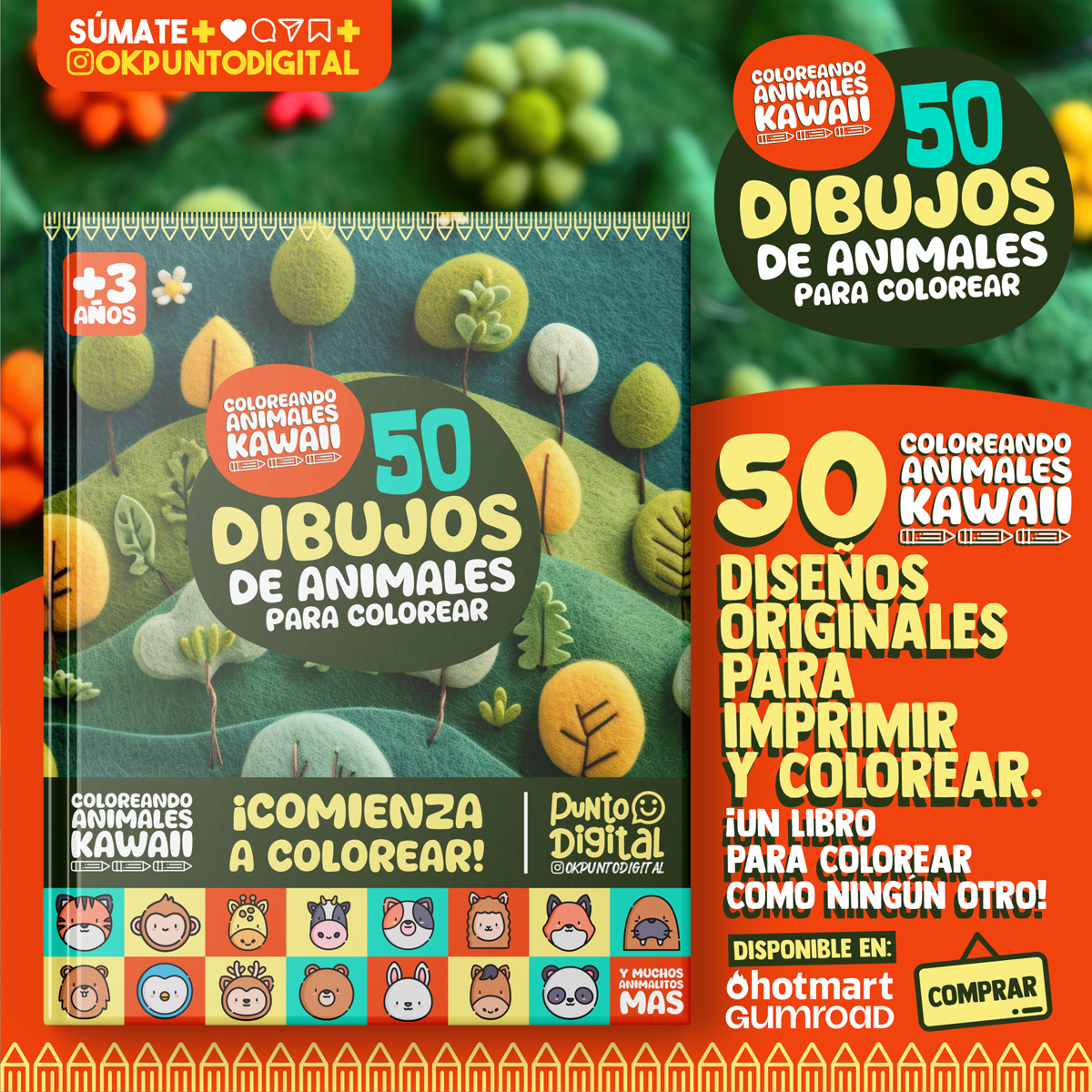 Coloreando Animales Kawaii