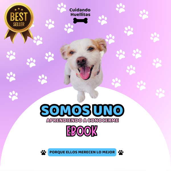 somos uno: aprendiendo a conocerme