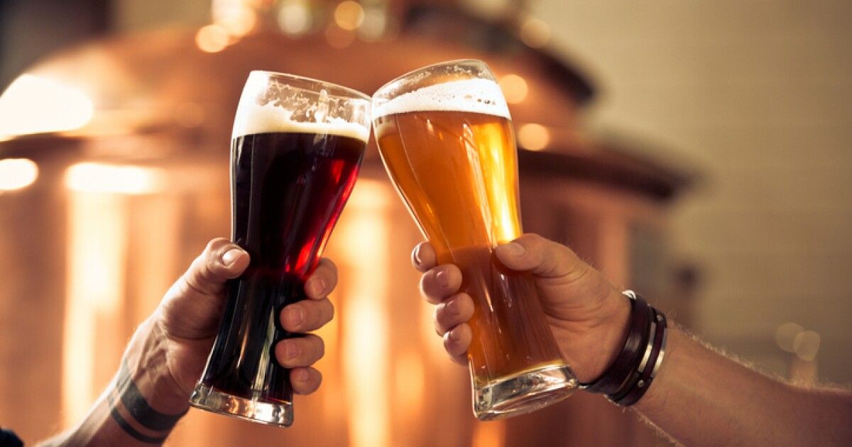 Cerveza Artesanal 360: De Novato a Experto en Casa.