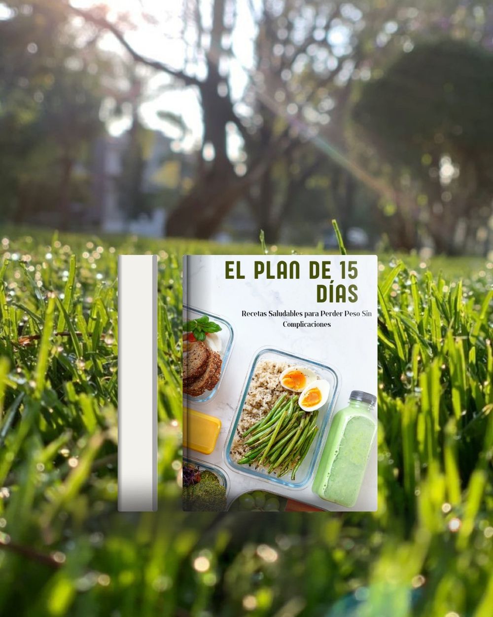 El Plan de 15 Días: Recetas Saludables para Perder Peso Sin Complicaciones