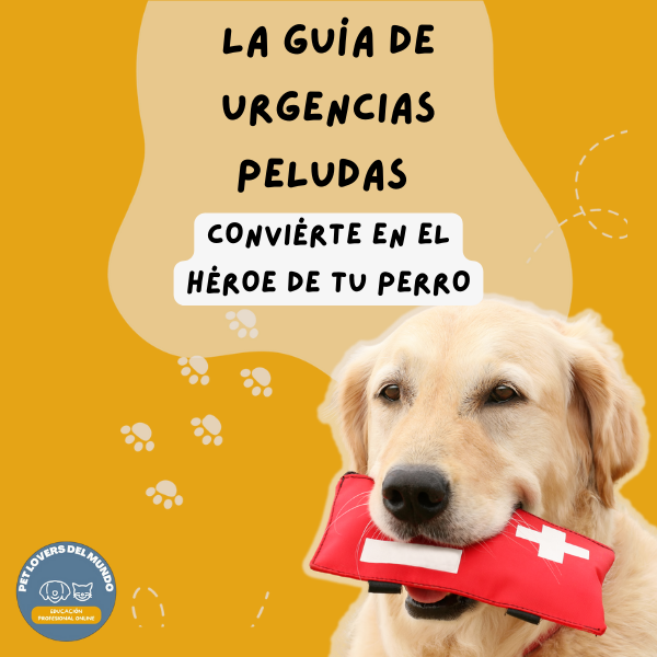 La guía de urgencias peludas: Conviértete en el héroe de tu peludito