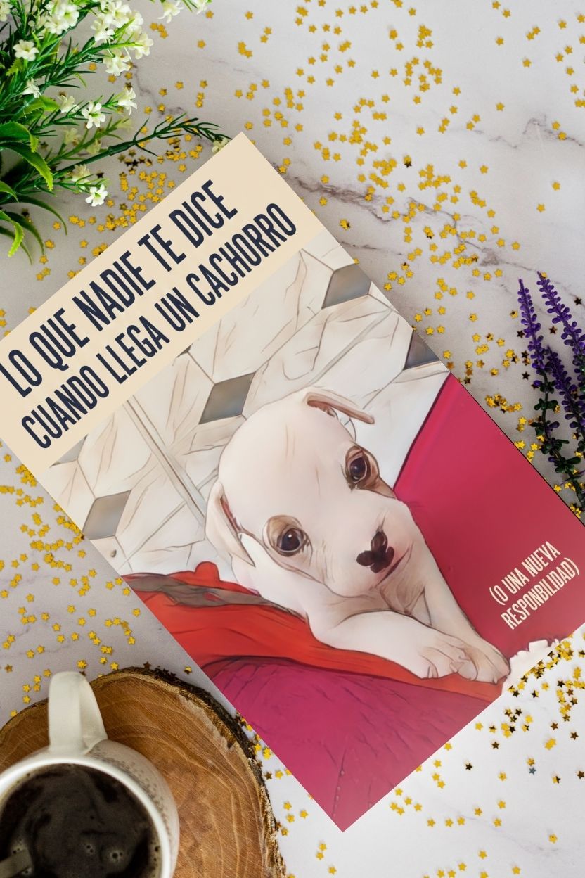 LO QUE NADIE TE DICE CUANDO LLEGA UN CACHORRO (O UNA NUEVA RESPONSABILIDAD)