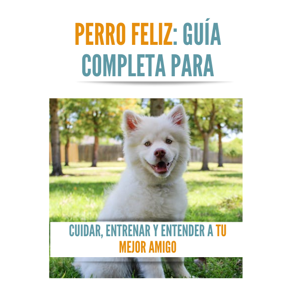 Perro Feliz: Guía Completa para Cuidar, Entrenar y Entender a tu Mejor Amigo