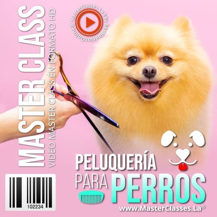 Peluqueria para Perros