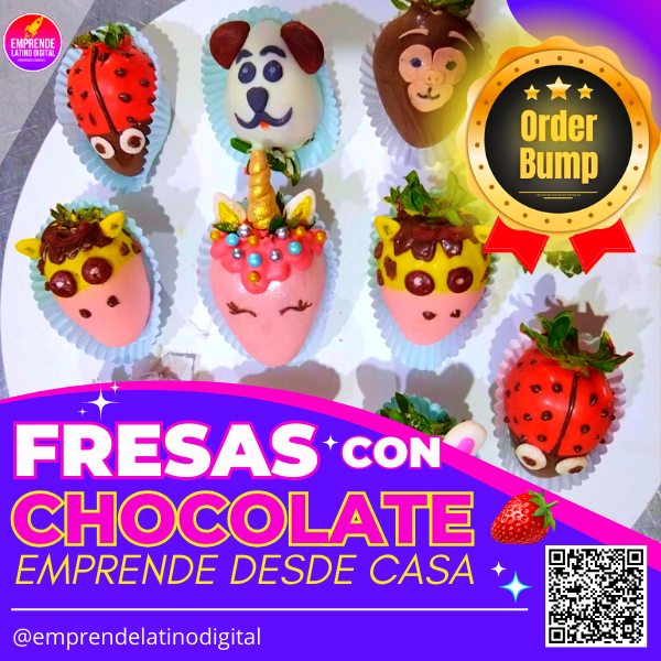 Fresas con Chocolate Emprende Desde Casa
