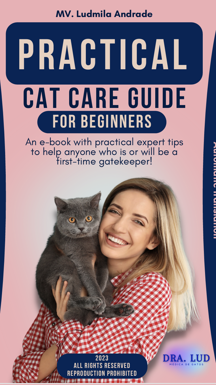 Practical cat care guide for beginners