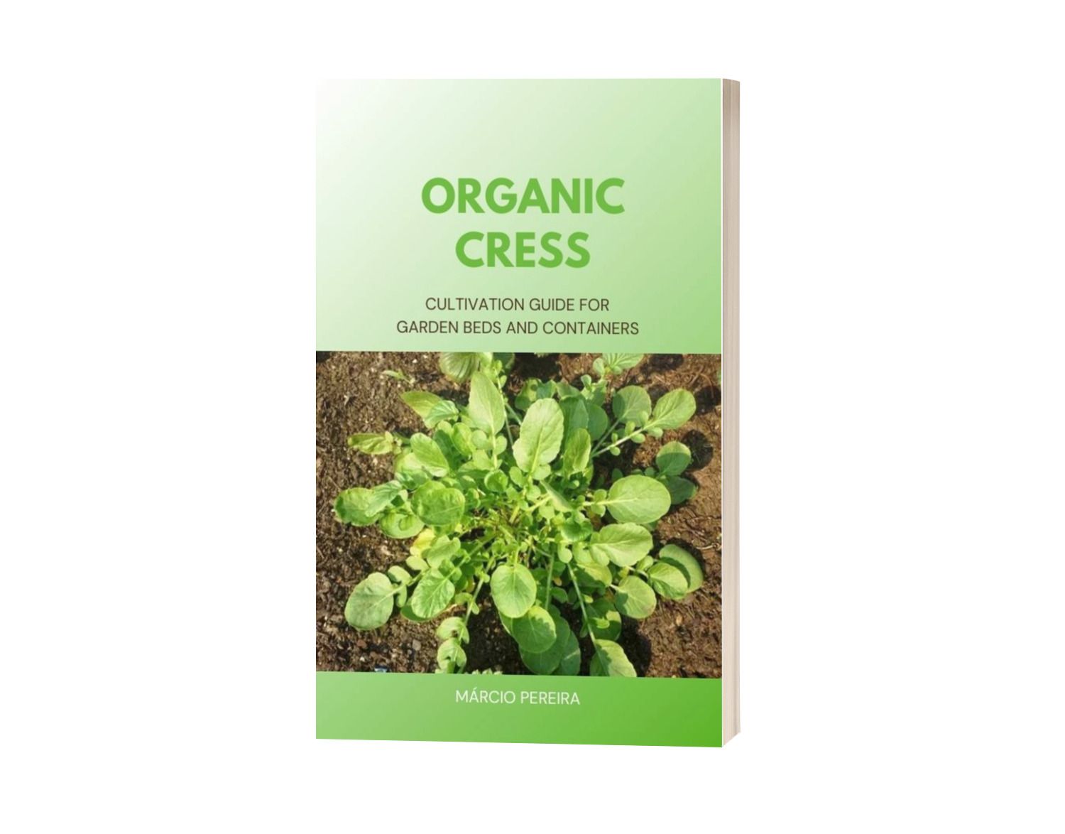 Organic Cress