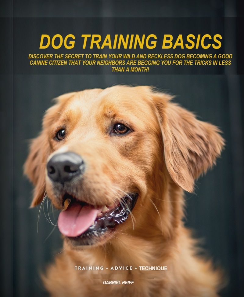 Dog Training Basics