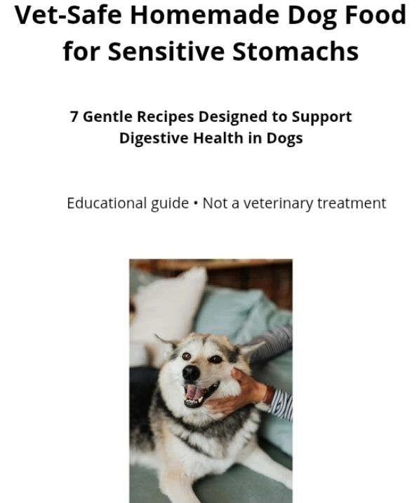 Vet-Safe Homemade Dog Food for Sensitive Stomachs
