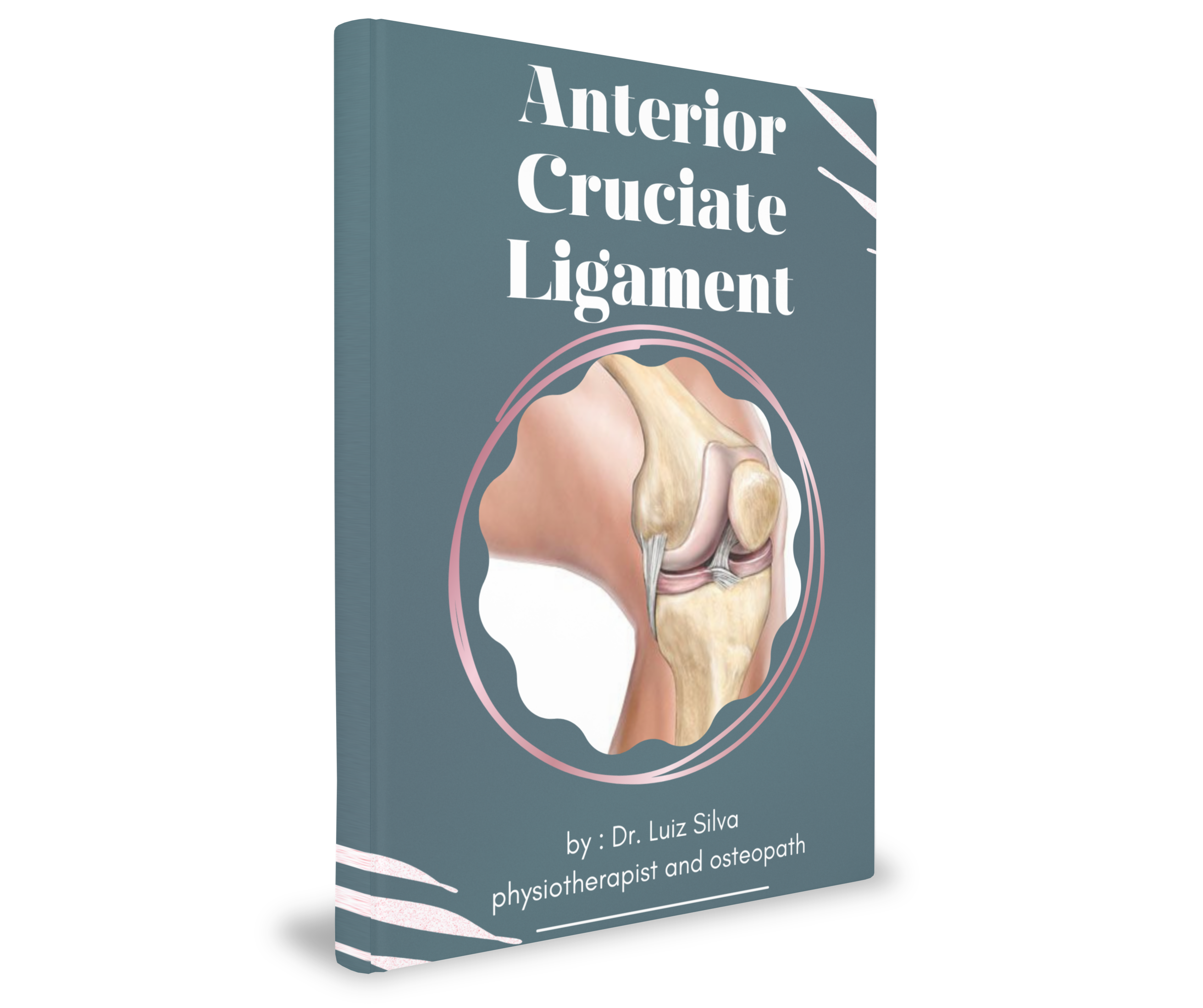 Anterior Cruciate Ligament