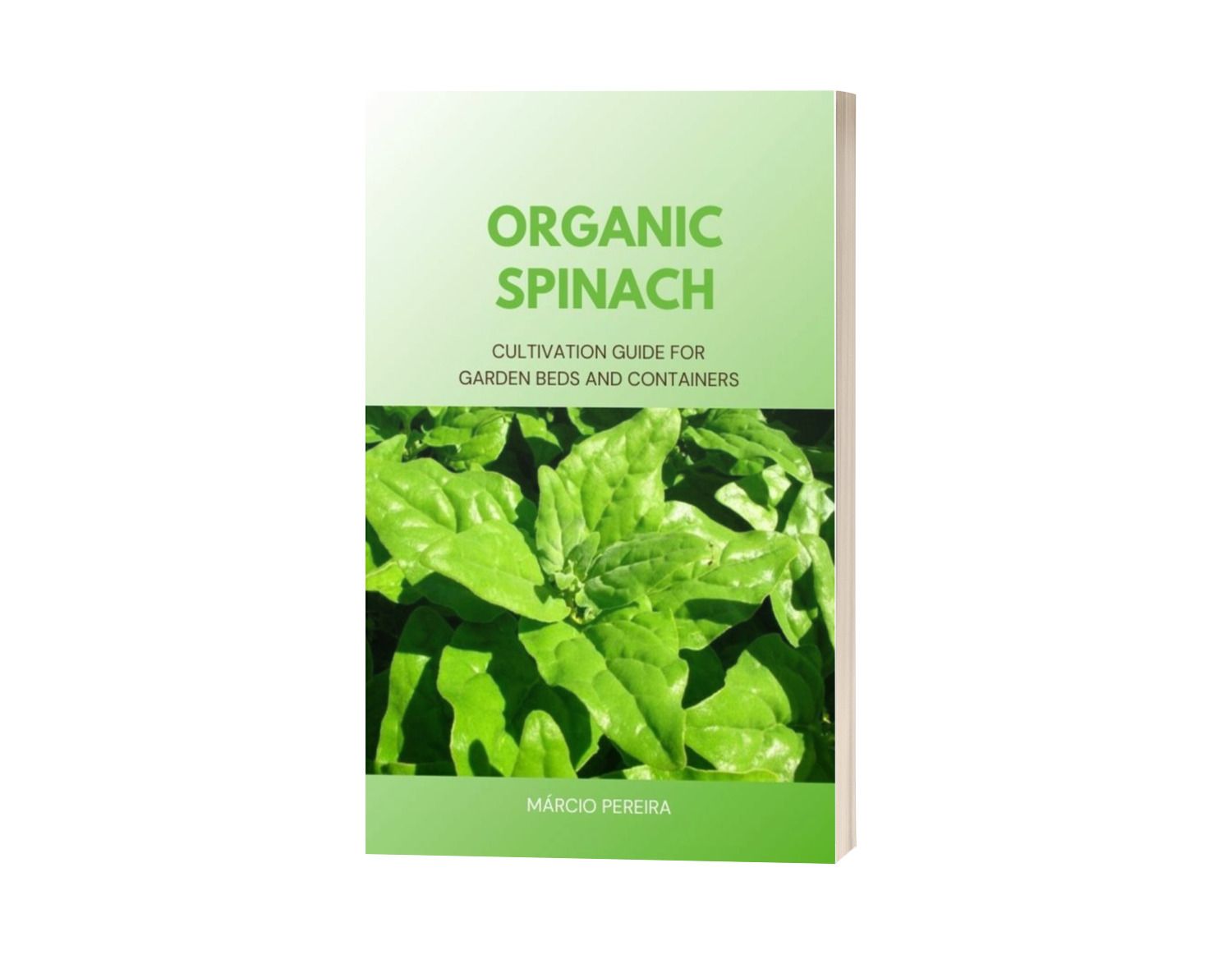 Organic Spinach