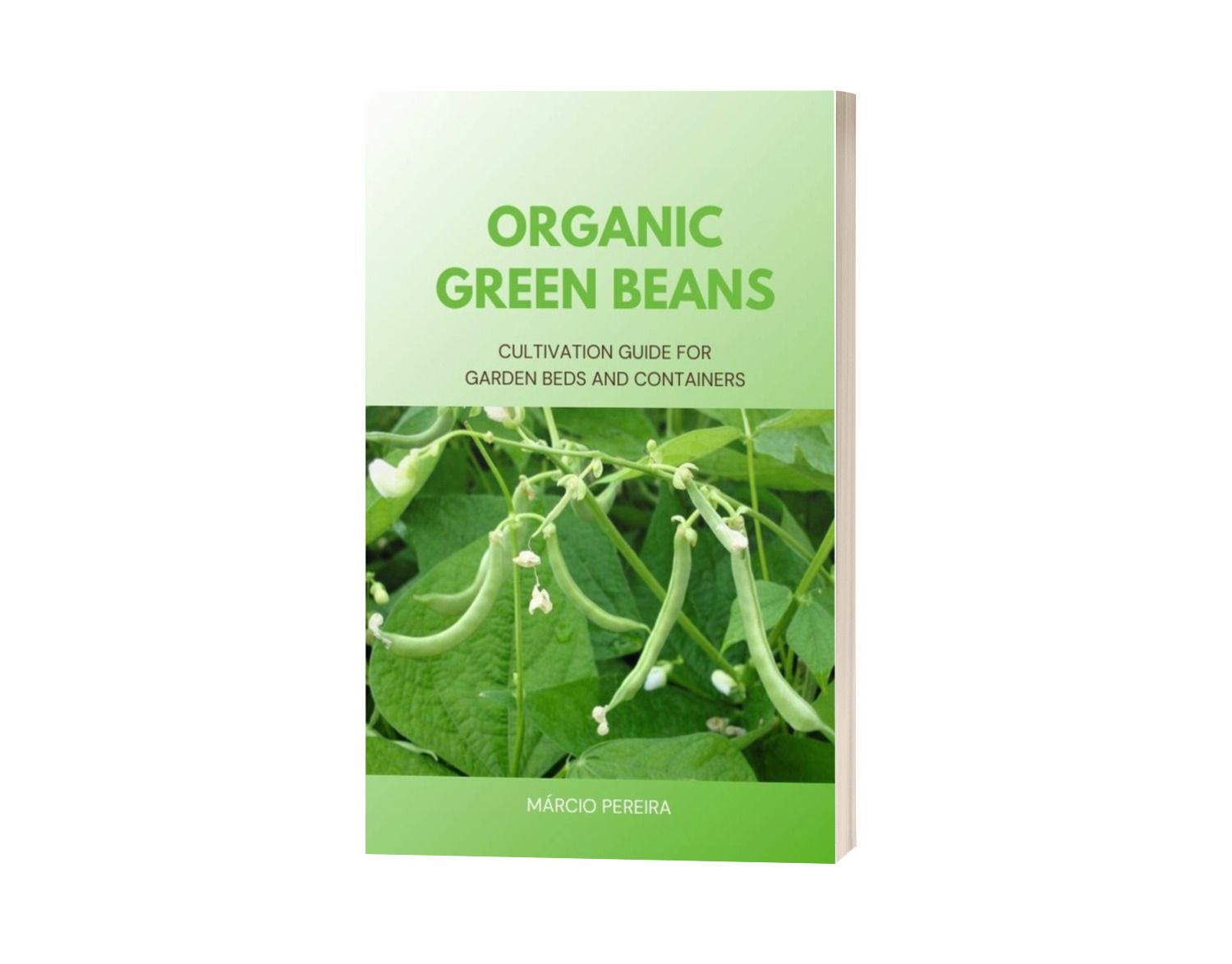 Organic Green Beans