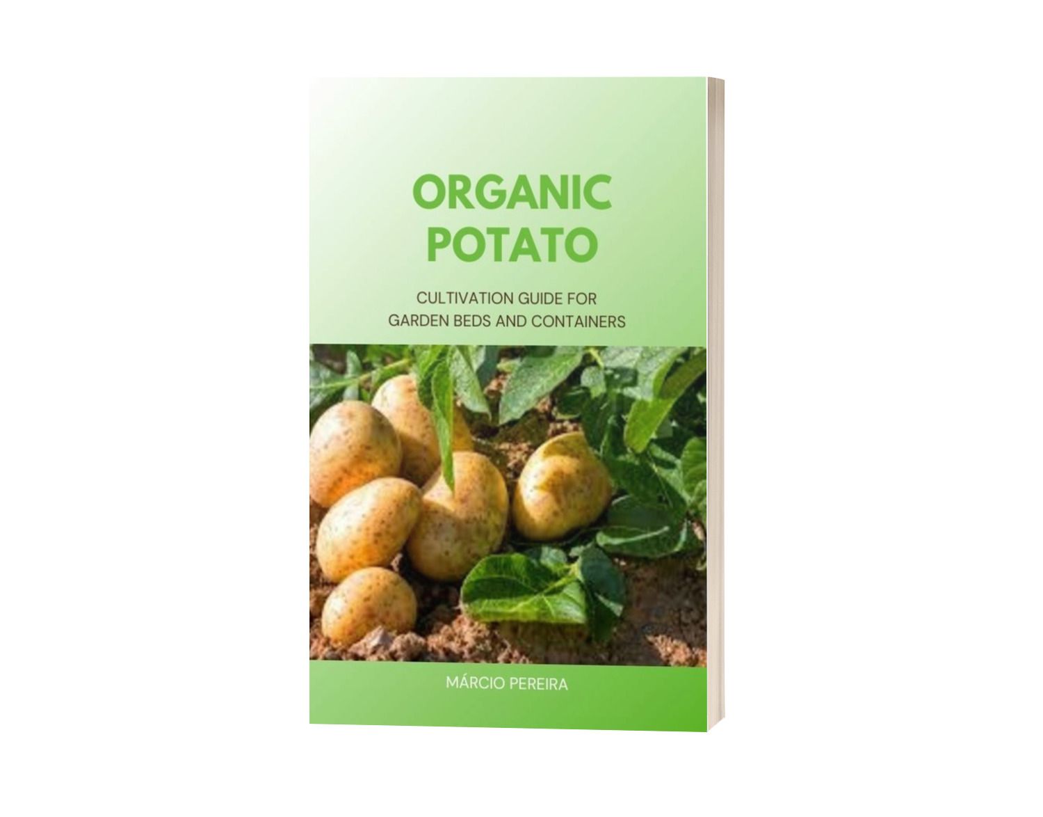 Organic Potato