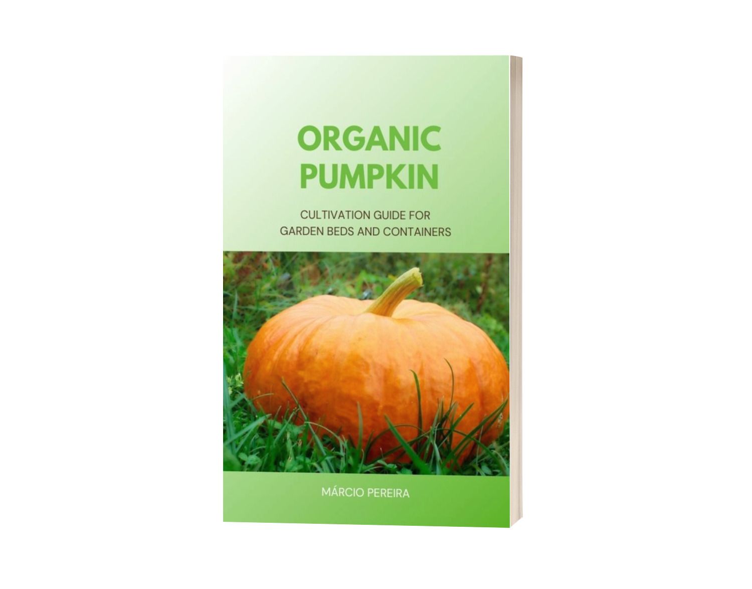 Organic Pumpkin