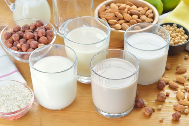 Vegan Dairy Making milk, butter and cheese from nuts and seeds