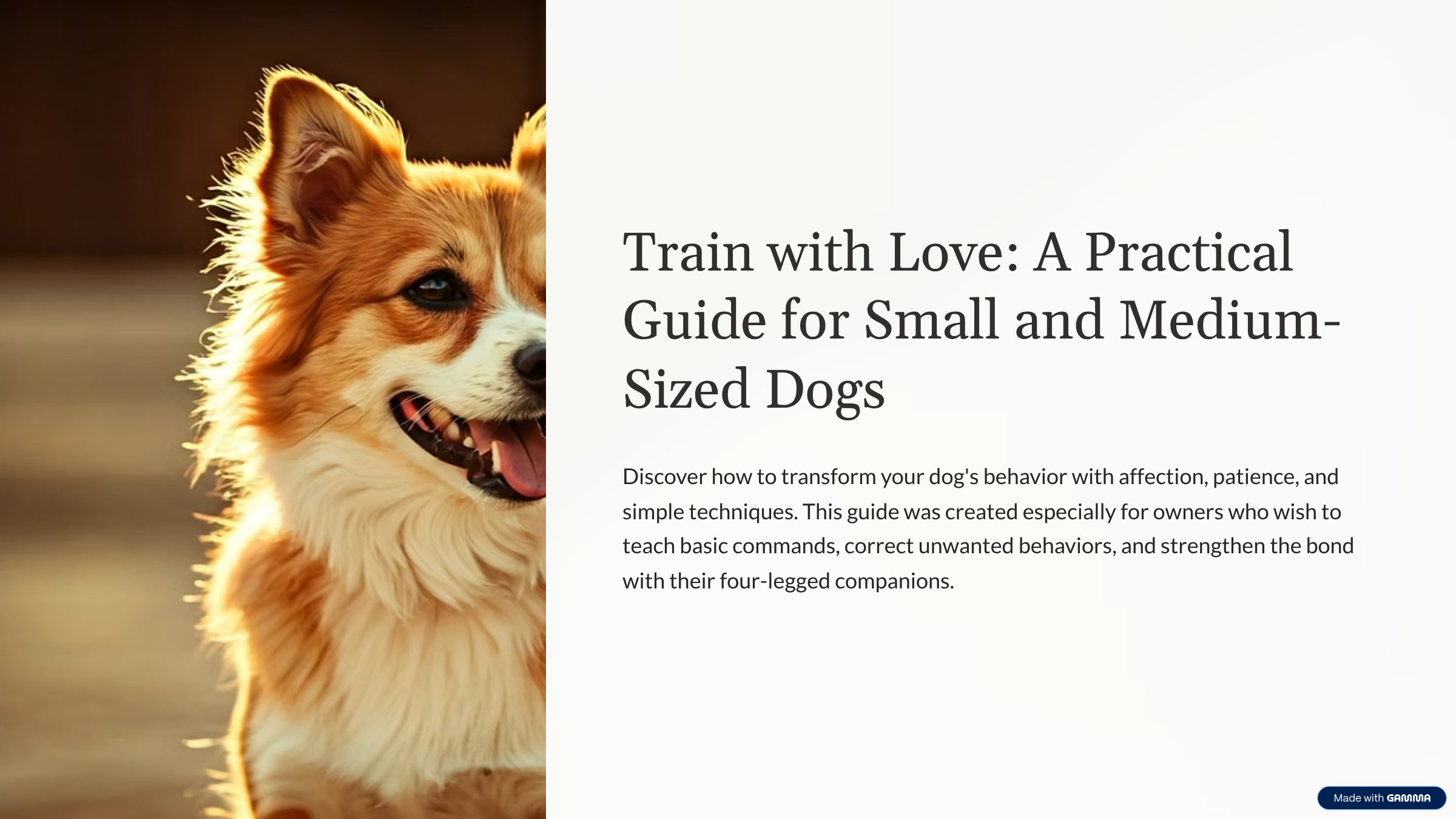 Train with Love: A Practical Guide for Small and MediumSized Dogs