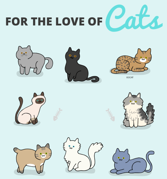 For The Love Of Cats