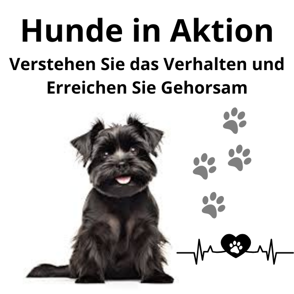Hunde in Aktion : Verstehen Sie das Verhalten und Erreichen Sie Gehorsam