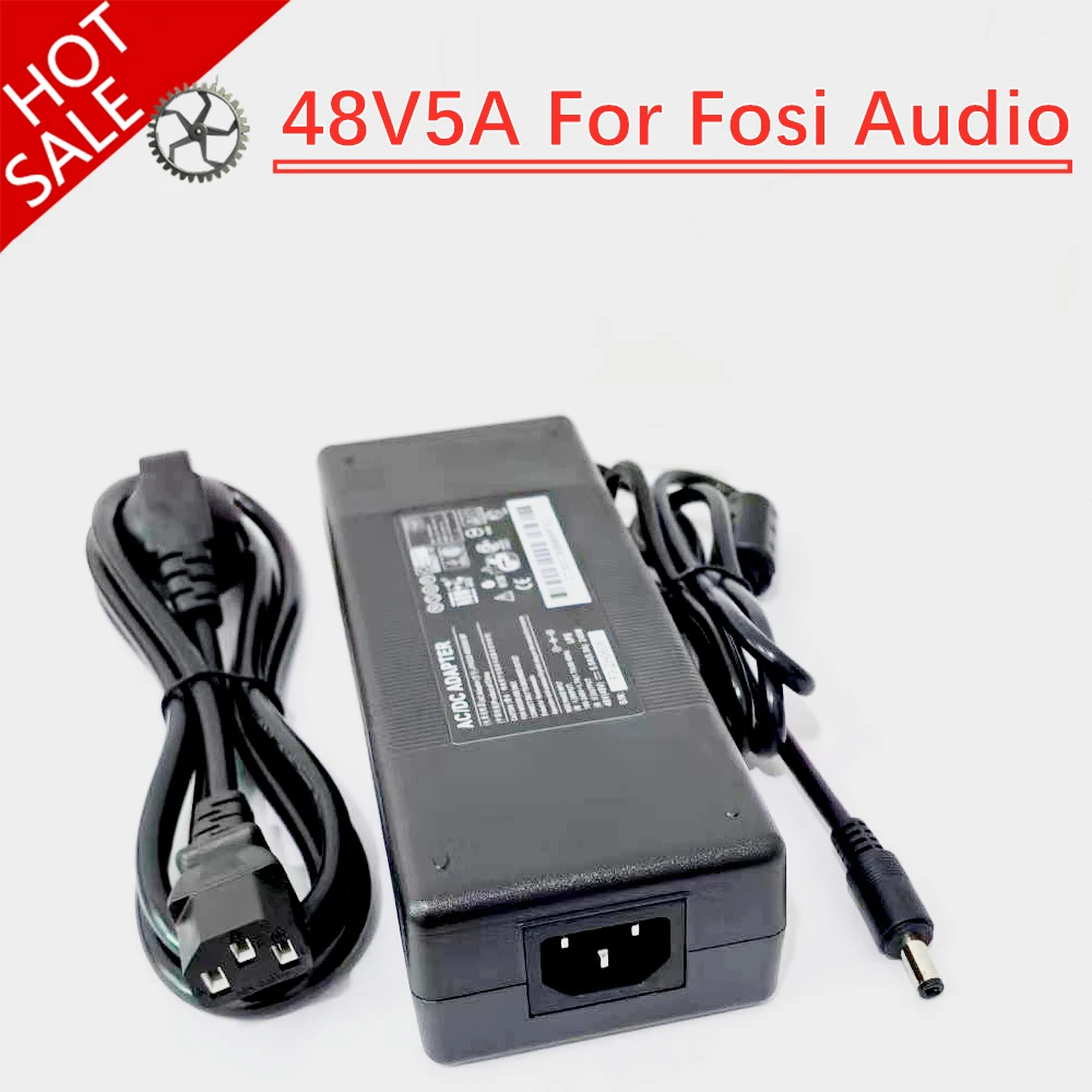 48V 5A DC Power Supply Charger Home Theater Amplifier Power Adapter For Fosi Audio Digital Audio Power Amplifier Input 100-240V