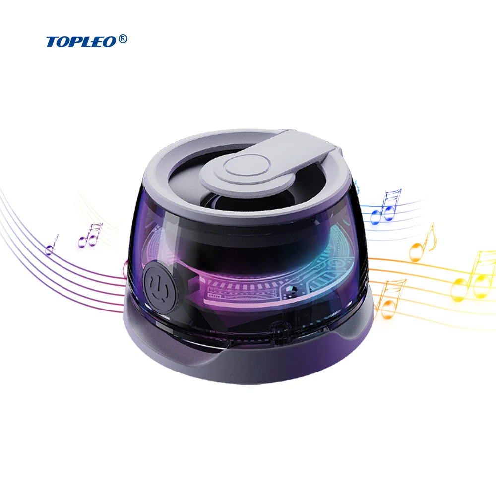 Topleo Professional Sound Smart System Mini Gaming & Karaoke Speakers TV & Cinema Loud Pro Speakers for Computer 2K Resolution