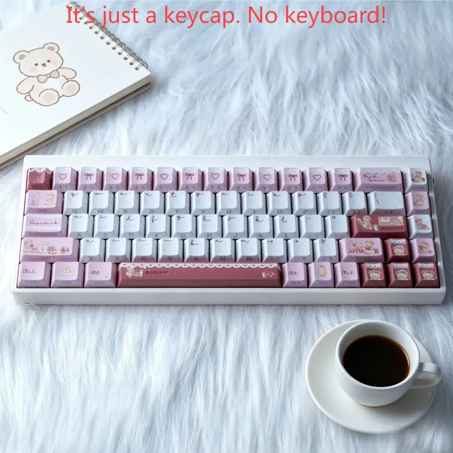 prod_6a97aedf4f8ea4.77739211.webp