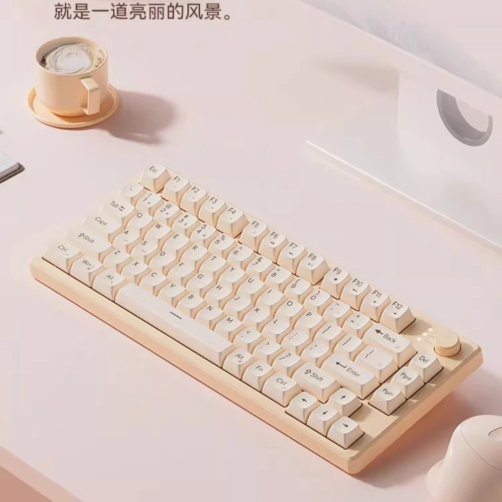 prod_6a9855b6199e40.34211245.webp