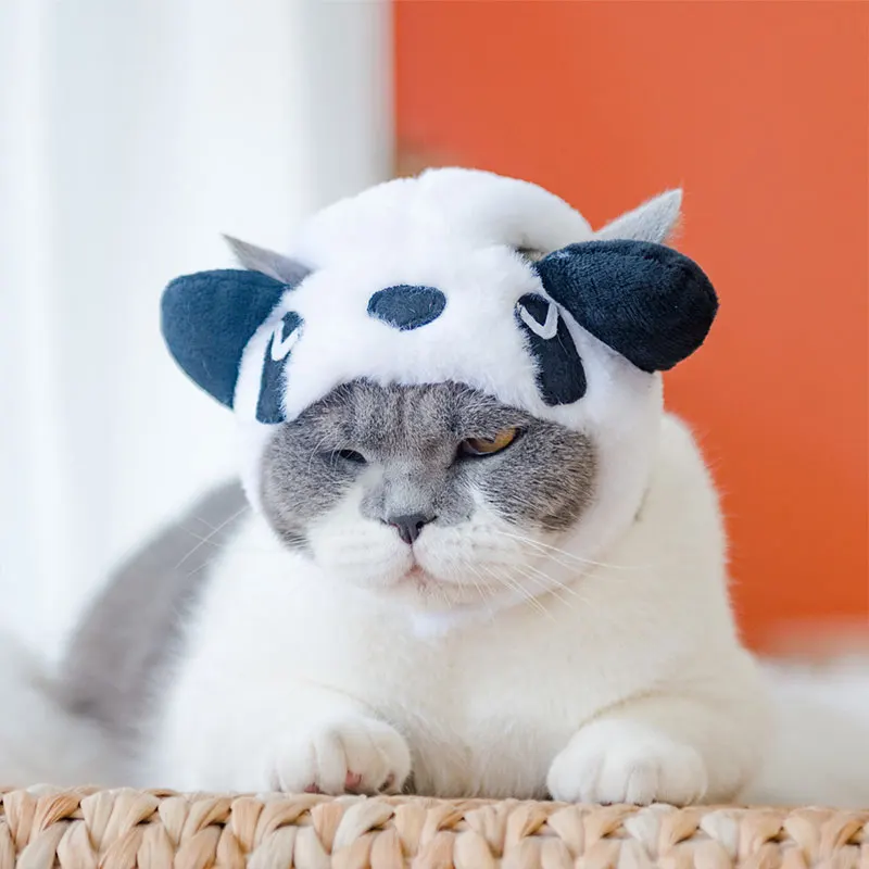 prod_6a9877d5cce5e2.23005582.webp