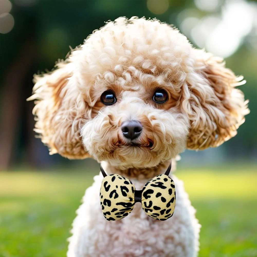 prod_6a9877cf61ca37.19015473.webp