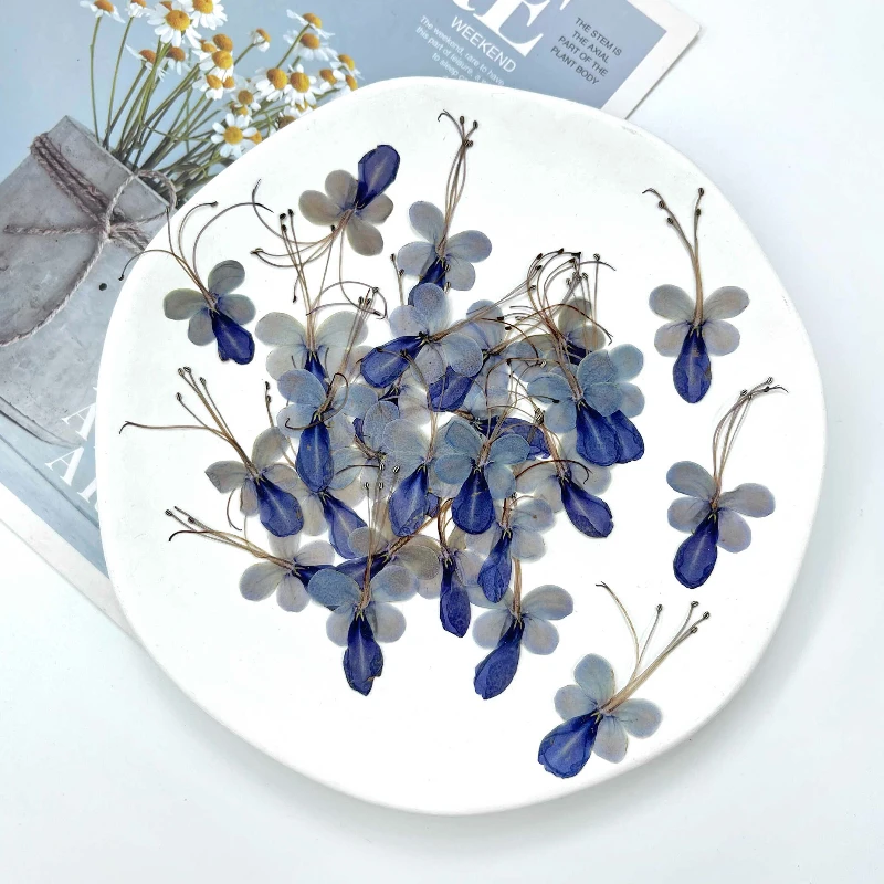 4-6cm/6pcs,Pressed blue butterfly pressed flower,dripping gel coaster diy flower material bookmark Christmas card face makeup