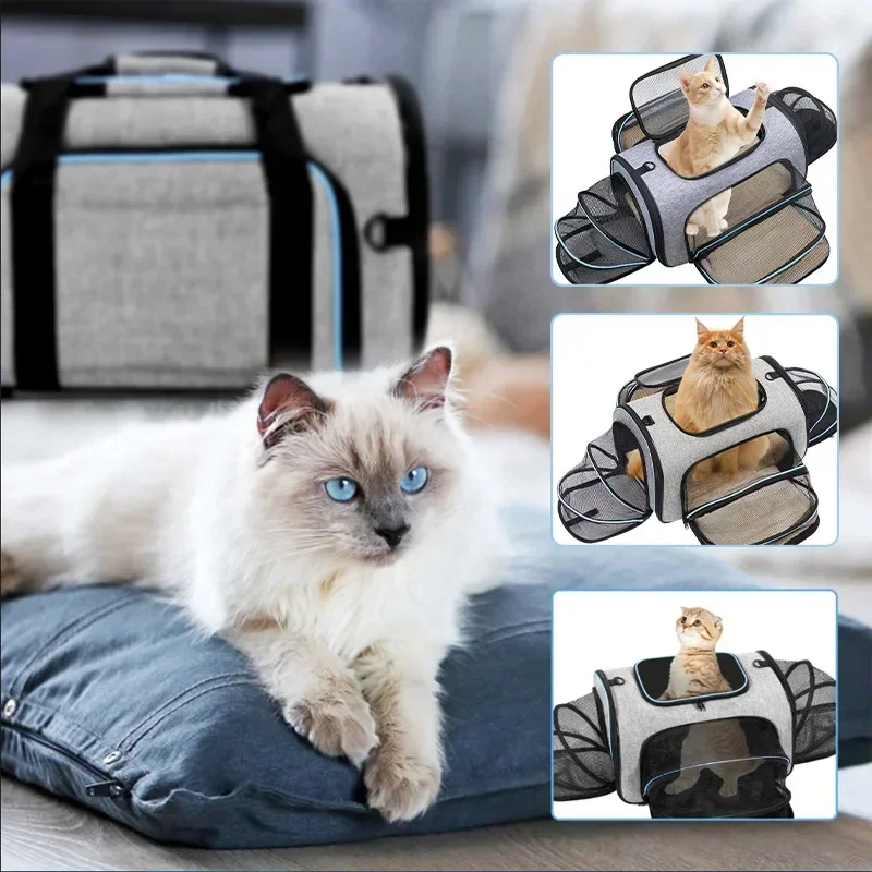 prod_6a9822ee9b6354.99463320.webp