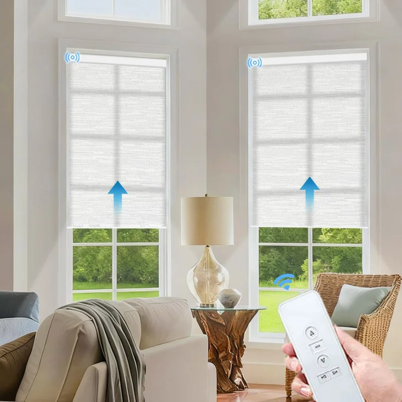 Luxury Blinds Light Filtering Fabric Amazon Google Assistant Wifi To Control Zigbee Motor Automatic Roller Shades For Home Decor