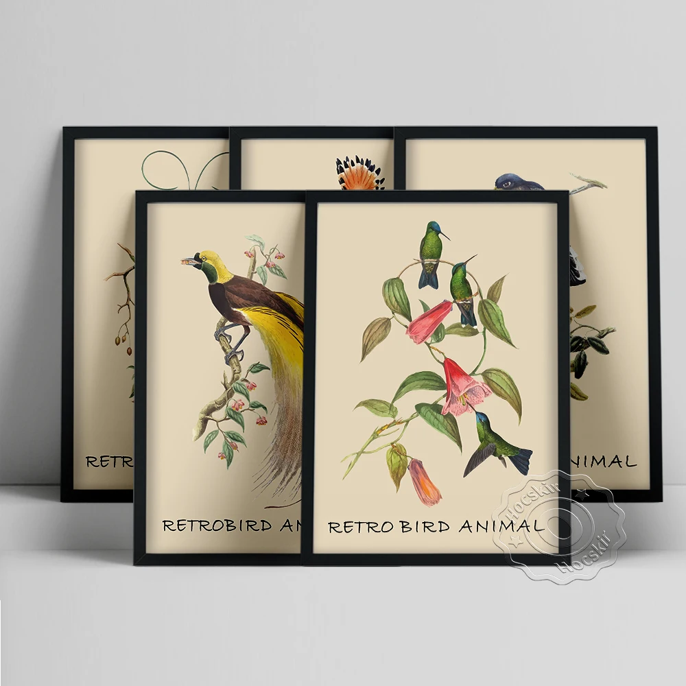 Retro Bird Animal Poster Canvas Painting Office Wall Picture Living Room Bedroom Home Decor Nordic Art Print Mural Decoration