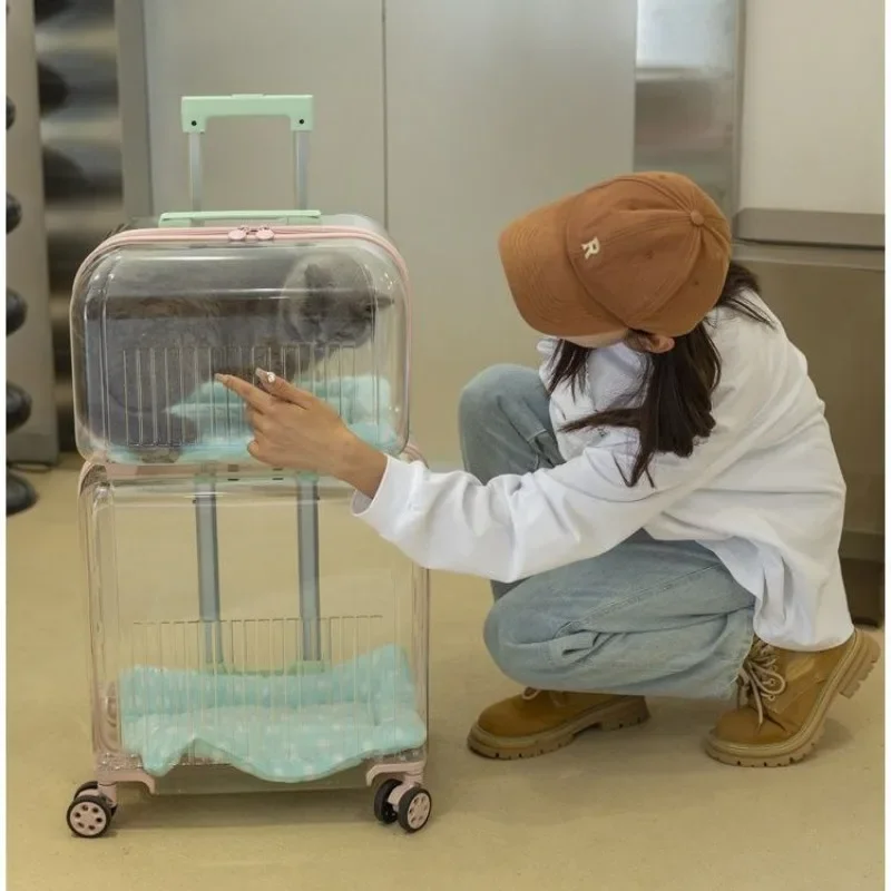 Cat Trolley Suitcase Portable Transportation Cats Bags Large Capacity Transparent Travel Products Pet Supplies Accessories