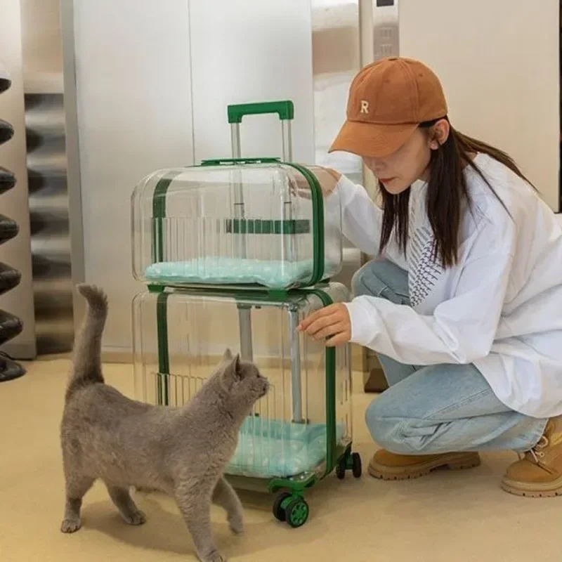 tt Cat Trolley Suitcase Portable Transportation Cats Bags Large Capacity Transparent Travel Products Pet Supplies Accessories