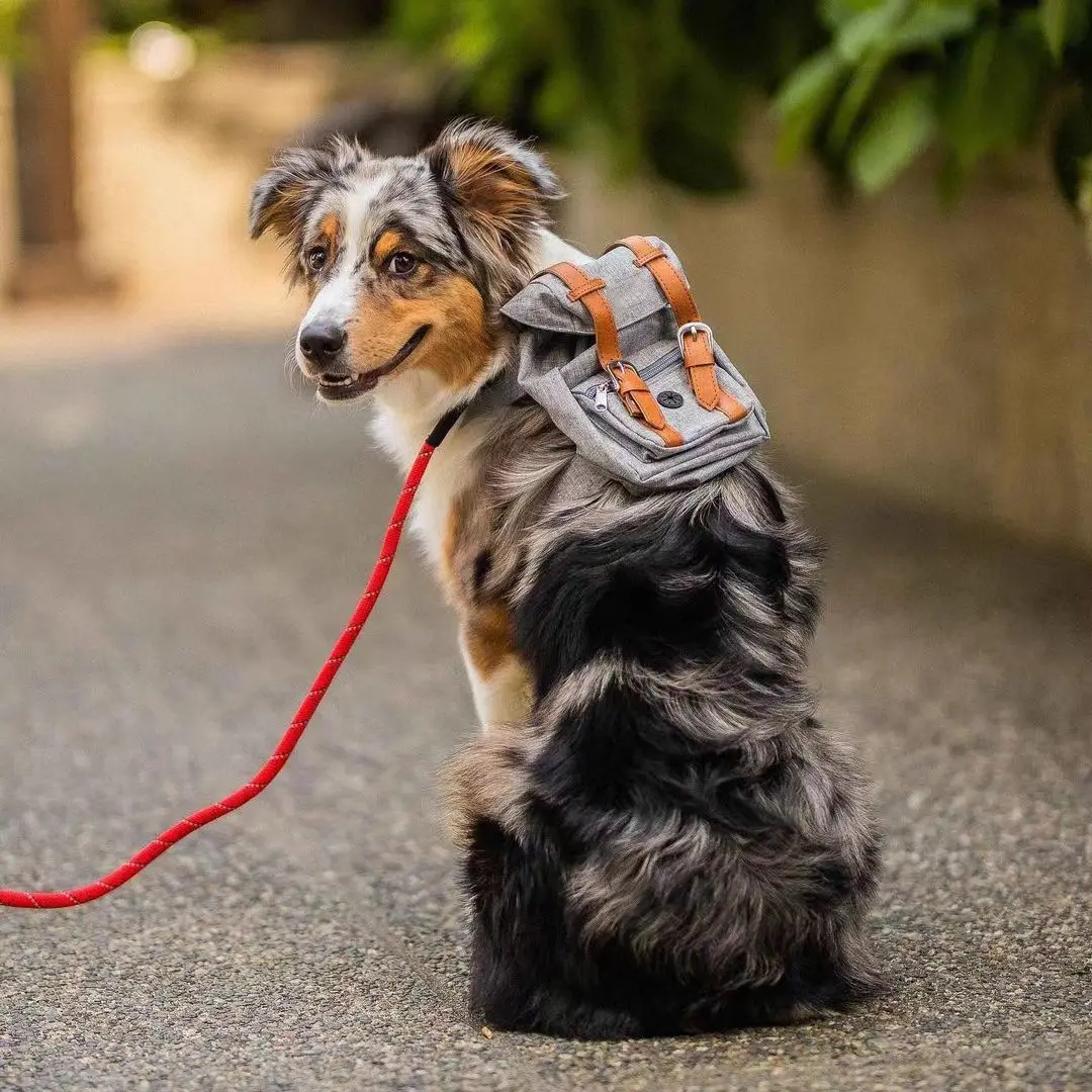 Pet Backpack For Dogs Puppy Bag Portable Travel Backpack Outdoor Travel Dog Snacks Backpack Small Medium Large Dog Accessories