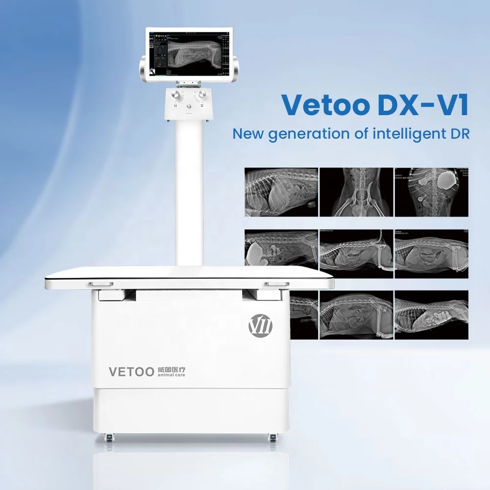 2026 Premium Veterinary DR X-Ray Machine Static Imaging System For Pet Clinic Diagnosis Digital Radiography Clear Images