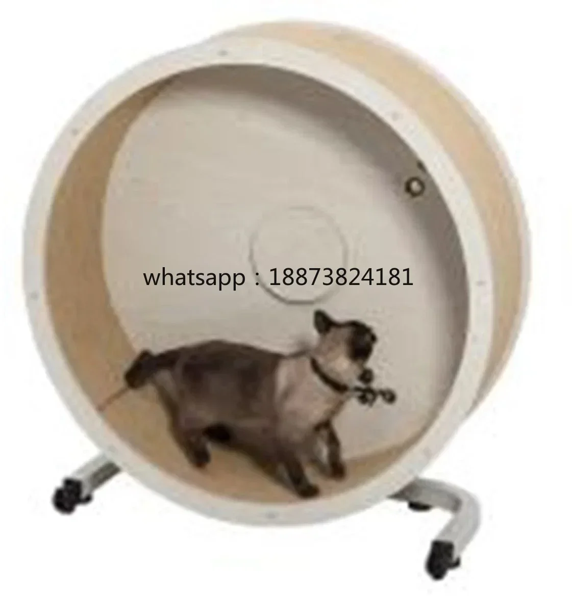 Mt Medical Cheap Animal Treadmill Pet Exercise Aid Machine Cat Running Wheel for Cat fast shipping