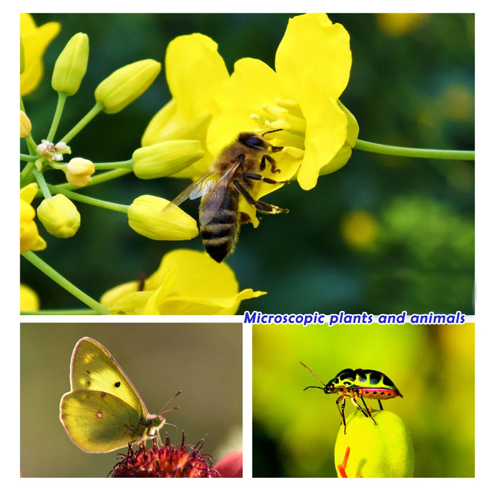4K HD 30-120mm Professional Macro Mobile Lens For iPhone Camera Phone Camcorder Lenses Samsung All Smartphone CPL Star Filter