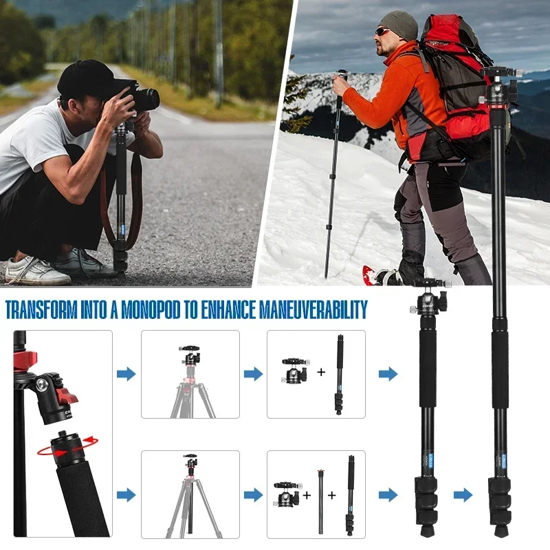 Portable Compact Folding Tripod Stand Ball Head Travel Outdoor Photography Video Digital Cameras Mobile Phones Video Cameras