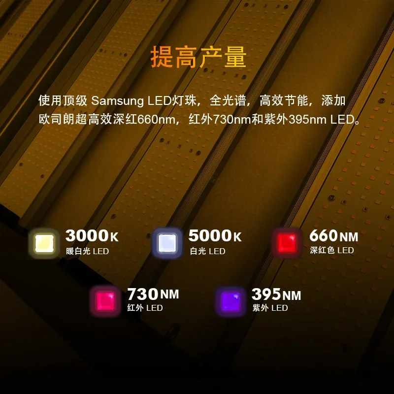 prod_6a984fed59d604.81977670.webp