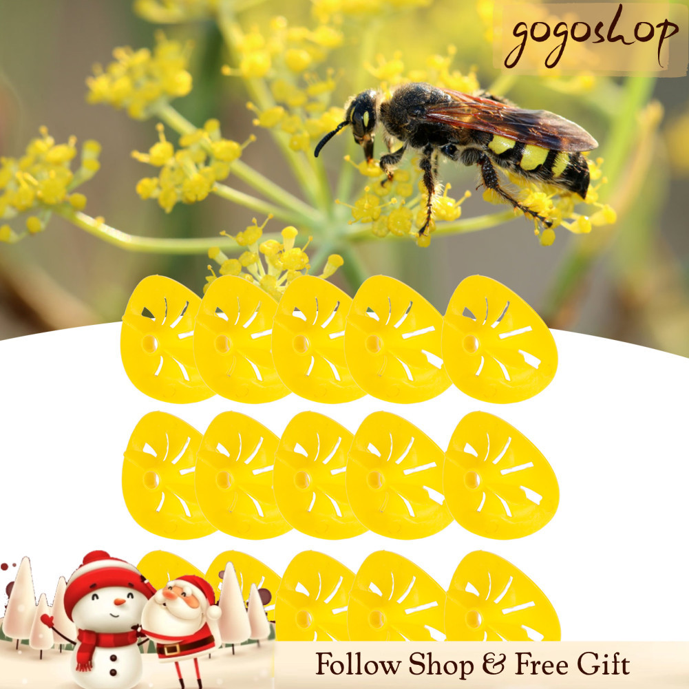 Gogoshopp-br Asixxsix Wasp Funnel Anti-Rust Catcher para acampamento em terraços familiares de Natal