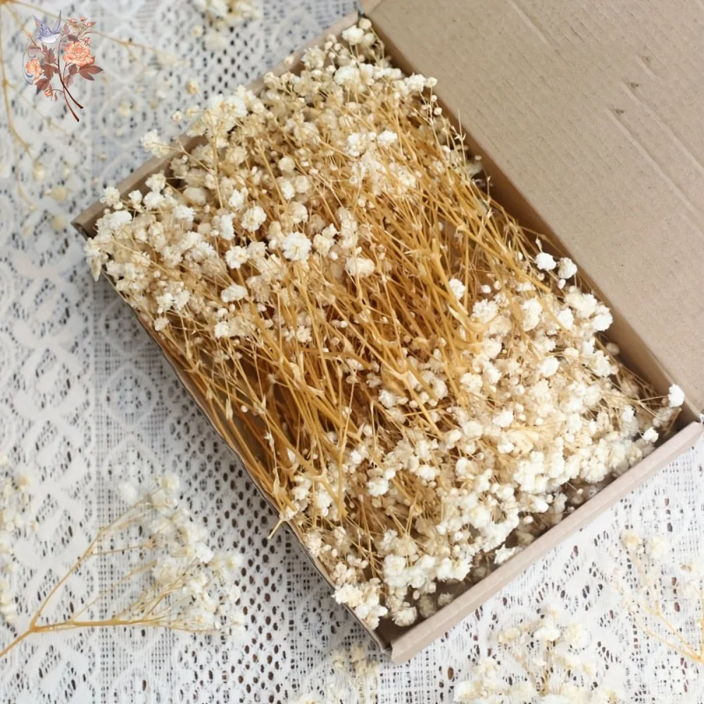 100pcs Mini Dried Baby's Breath Flowers for Resin Craft DIY Home Wedding Decor Real Touch Gypsophila Small Bundle Embellish Gift